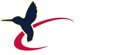 VFS logo link to home page